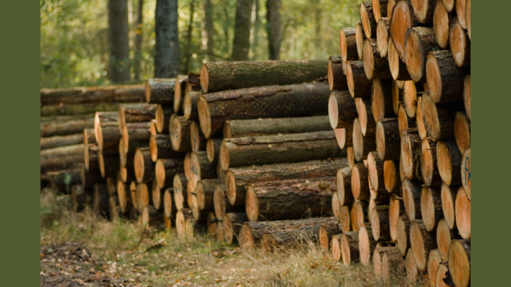 stacks of logs to illustrate loglines