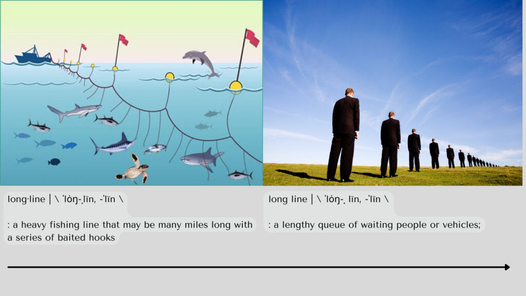 two images - one an illustration of a fishing longline; the second a staged queue indicating a "long line"