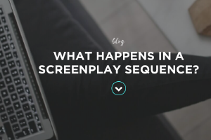 WHAT HAPPENS IN A SCREENPLAY SEQUENCE?